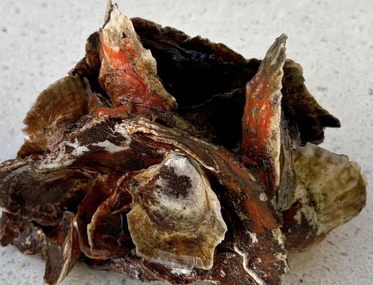 Screenshot 2026-01-10 at 3.45.50 PM.png