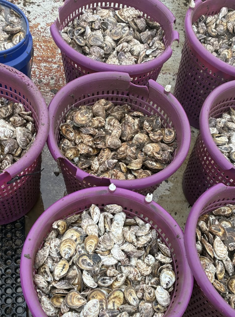 Screenshot 2026-01-10 at 3.51.41 PM.png