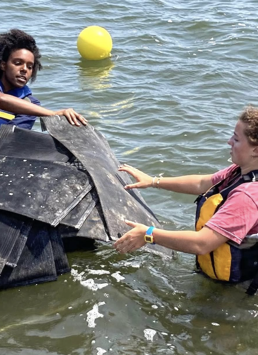 Screenshot 2026-01-10 at 4.27.17 PM.png