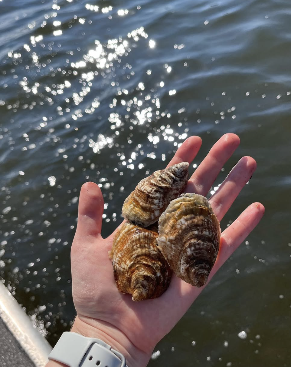 Screenshot 2026-01-10 at 4.32.33 PM.png