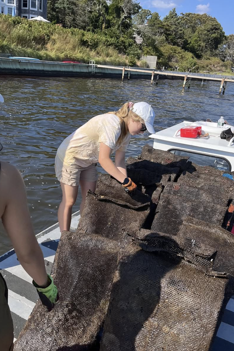 Screenshot 2026-01-10 at 4.32.54 PM.png