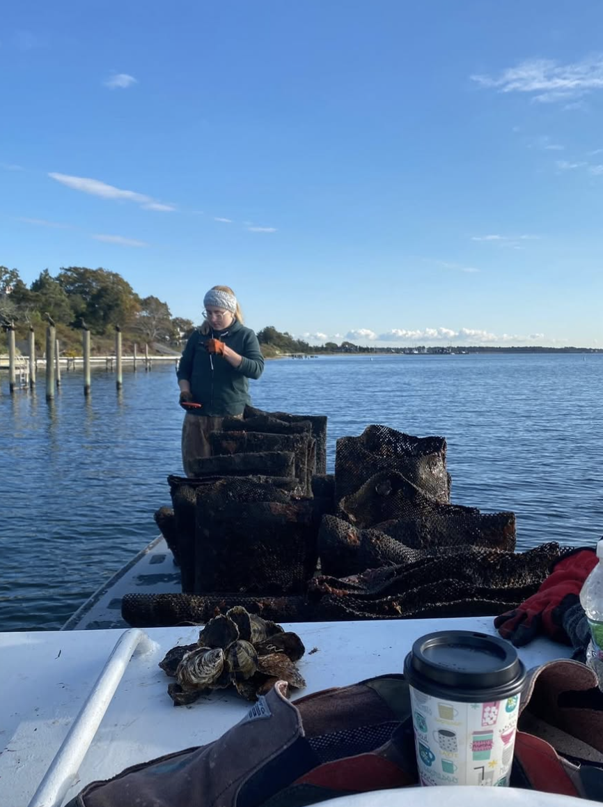 Screenshot 2026-01-10 at 4.34.48 PM.png