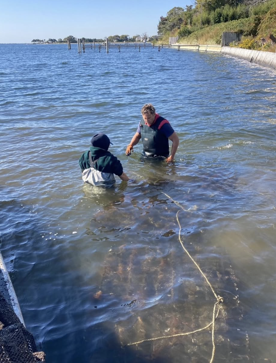 Screenshot 2026-01-10 at 4.34.41 PM.png