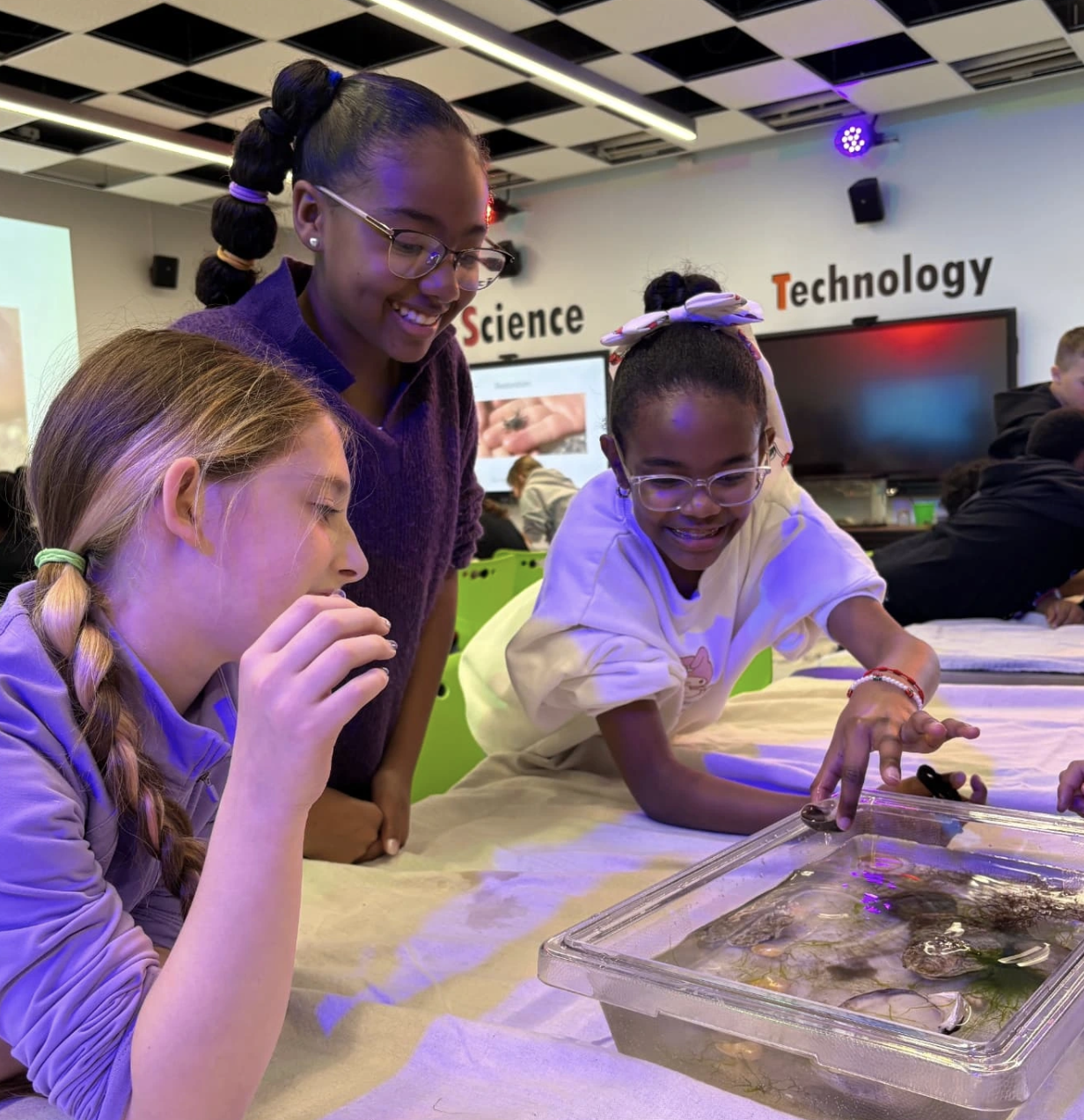 Screenshot 2026-01-17 at 6.28.42 PM.png