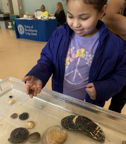 Screenshot 2026-01-17 at 6.29.35 PM.png