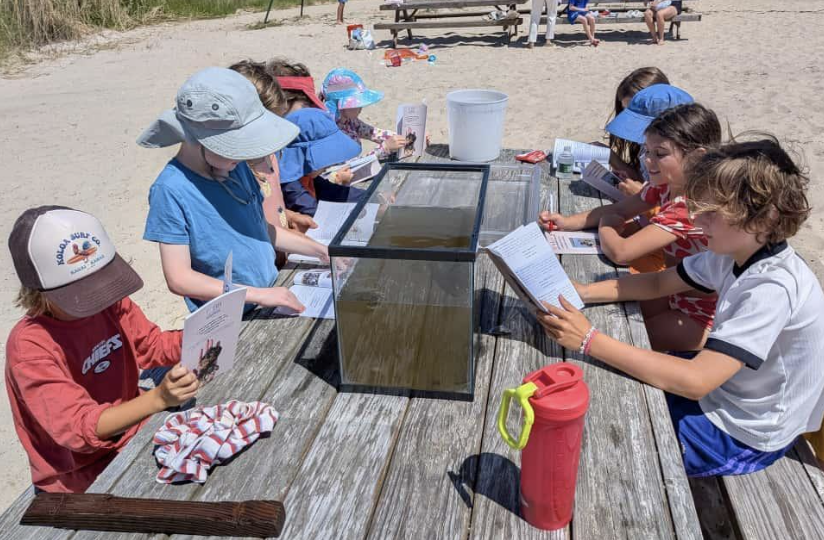 Screenshot 2026-01-17 at 6.38.38 PM.png