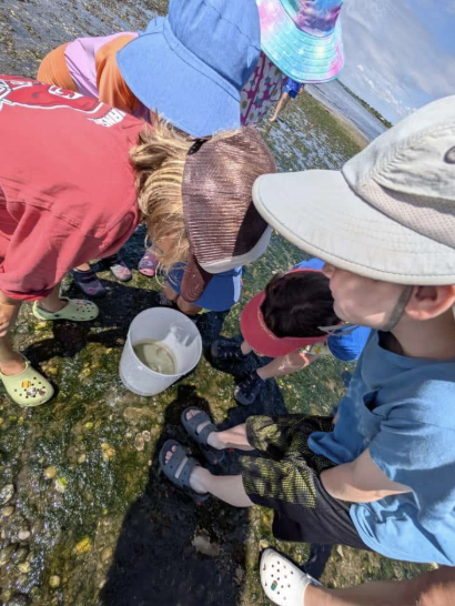 Screenshot 2026-01-17 at 6.38.44 PM.png