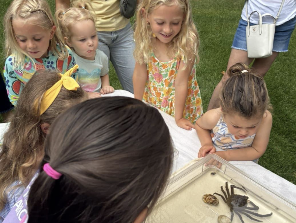 Screenshot 2026-01-17 at 6.44.13 PM.png