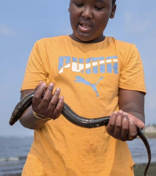 Screenshot 2026-01-17 at 6.44.29 PM.png