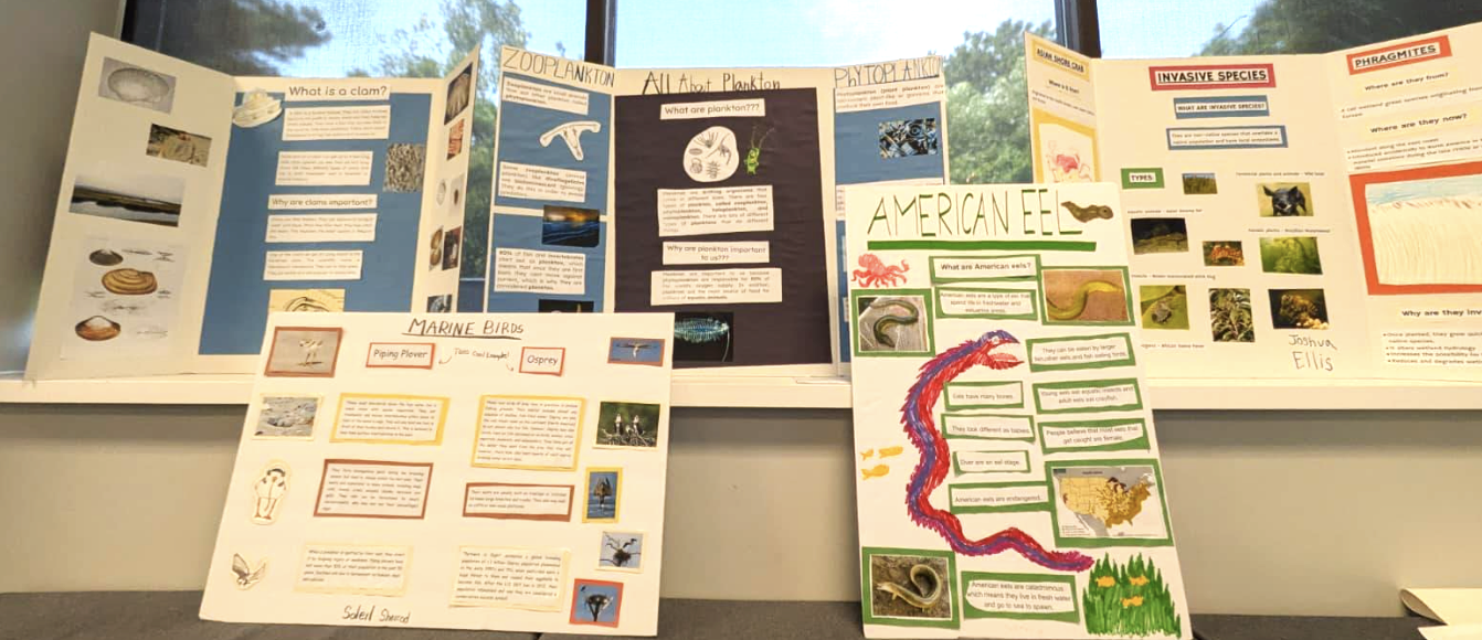 Screenshot 2026-01-17 at 6.44.44 PM.png