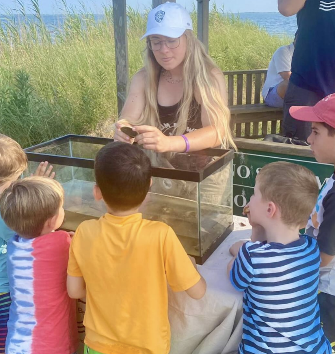 Screenshot 2026-01-17 at 6.56.26 PM.png