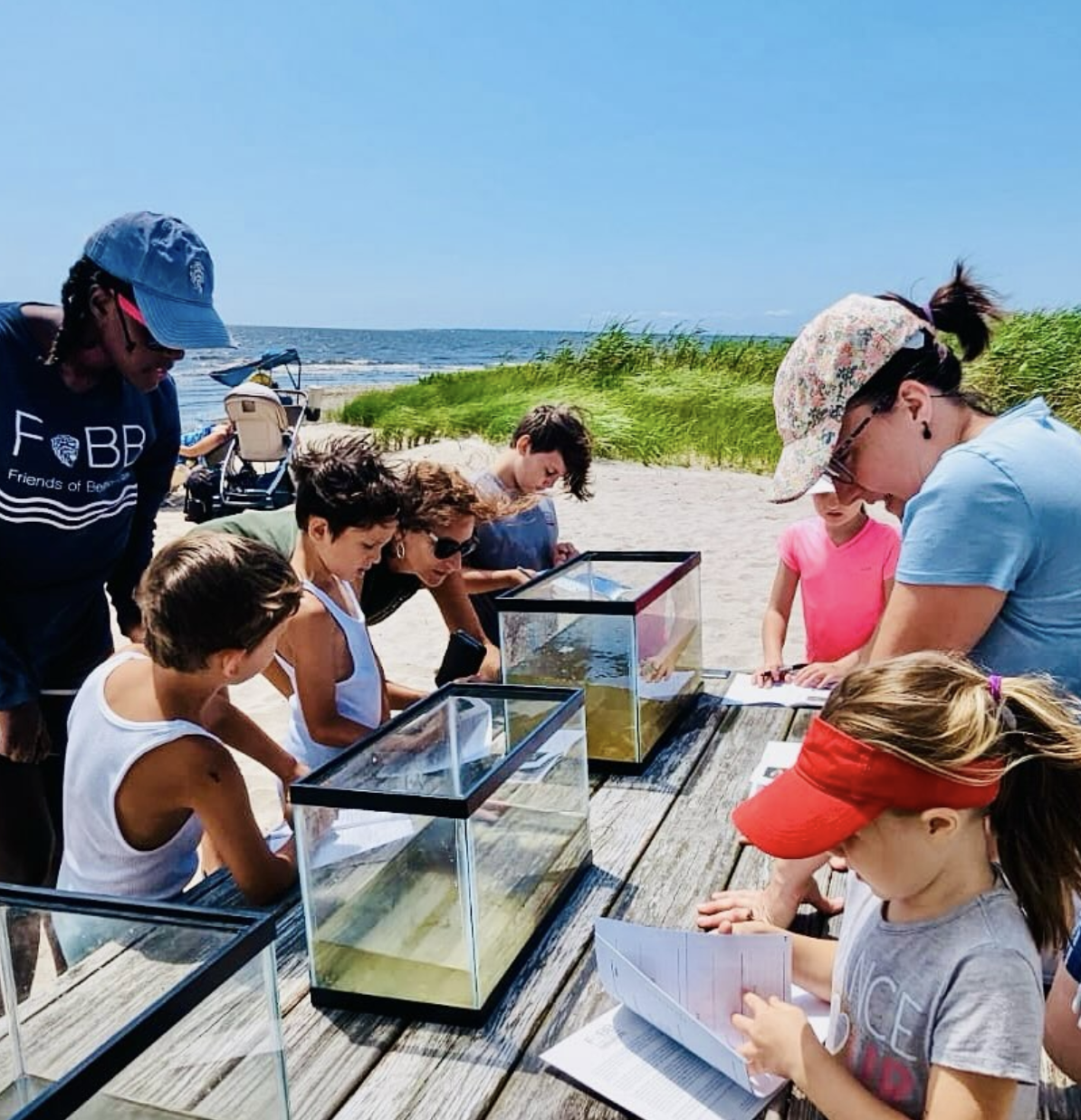 Screenshot 2026-01-17 at 6.56.36 PM.png