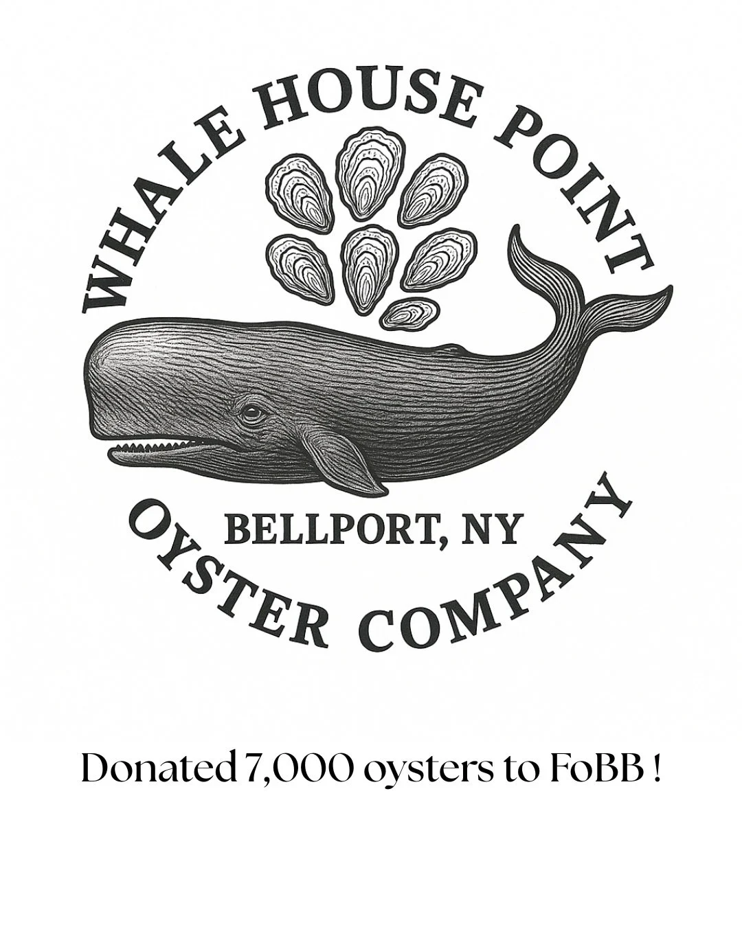 7,000 &ldquo;oversized-for-market&rdquo; oysters from the Whale House Point Oyster Company were donated, transported &amp; planted in the Town of Brookhaven Protected Shellfish Sanctuary (managed by FoBB). 🦪

Huge thanks to Mike Kokell &amp; the Wha