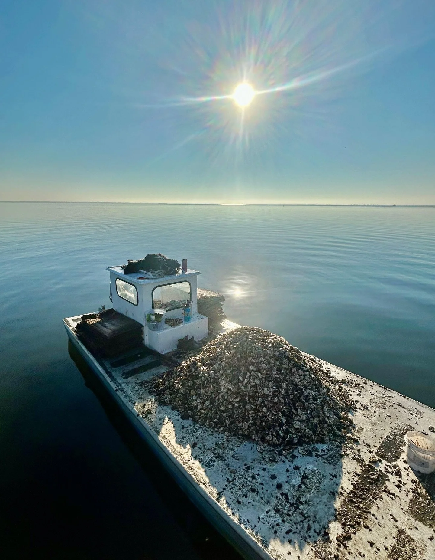 Wrapping up 2025 &amp; welcoming 2026! Here&rsquo;s to another great year of oyster restoration &amp; growth! 💙

A huge thank you to our amazing project partners, funders &amp; collaborators. As stewards of the Bay, we&rsquo;re rebuilding it one oys