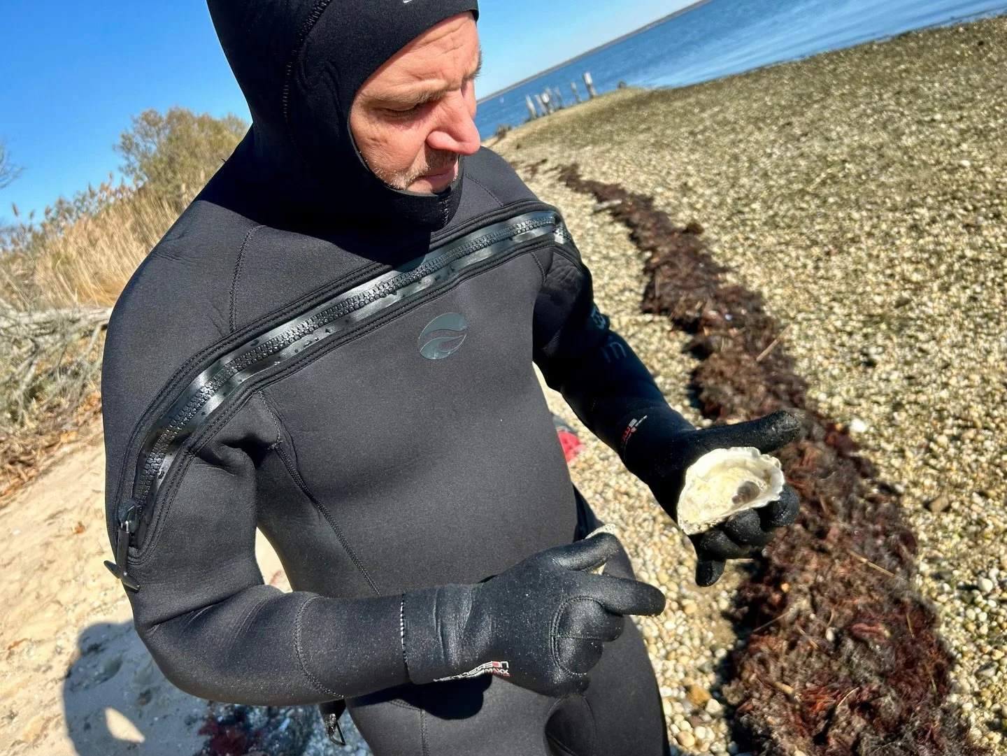 Last week, FoBB &amp; Cornell teams explored our reef, just before the freeze. We checked on our Spat-on-Shell oysters &amp; found they&rsquo;ve grown nearly 12 mm! 🦪

It&rsquo;s amazing to see our site becoming a living lab for students &amp; exper