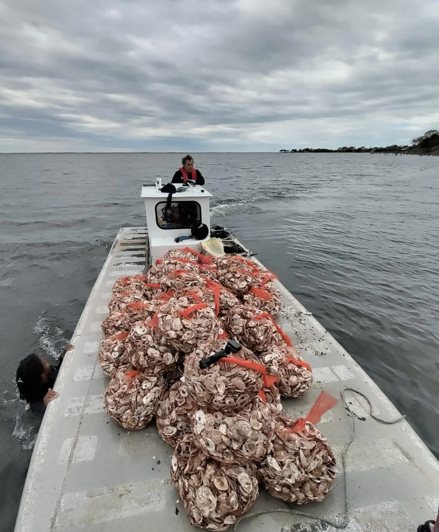 Happy Thanksgiving from all of us at FoBB! 💙

As restoration projects become increasingly vital in today&rsquo;s climate, we are truly grateful for your support in restoring Bellport Bay &amp; the Great South Bay. 🌊

A heartfelt thank you to our st