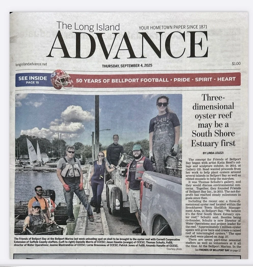 The Cornell &amp; FoBB teams deployed approximately 500,000 Spat-on-Shell (&ldquo;SOS&rdquo;) oysters into our 1-year-old oyster reef &amp; the Protected Shellfish Sanctuary in Bellport Bay. 🌊

The Cornell team conducted an underwater monitoring of 