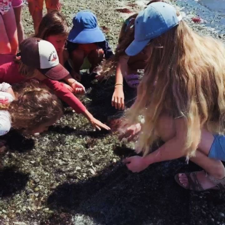 🌊✨ Starting young is essential! Kids are thrilled to meet the marine species that call the bay home, plant oysters and baby clams, and dive into exciting new learning adventures!

This summer, the FoBB water operations team is planting over one mill