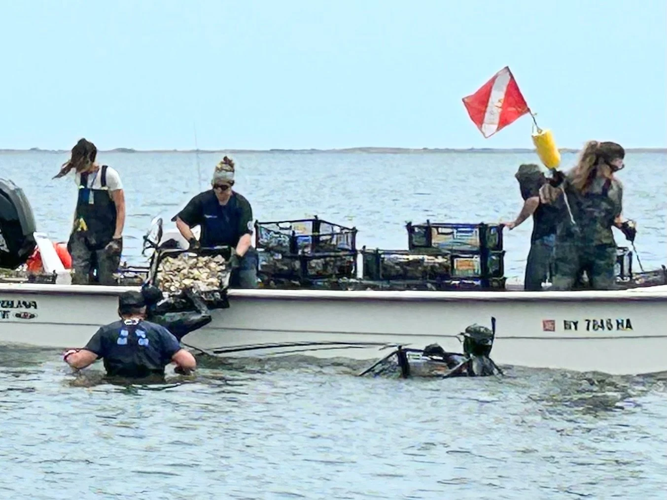 FoBB &amp; Cornell crews installed 100 cubic ft of Spat-On-Shell (&ldquo;SOS&rdquo;) into the FoBB oyster reef in Bellport Bay! 🦪

FoBB, @ccemarineprogram &amp; @seatuckenvironmental are partnering to build, monitor &amp; restore the water quality &