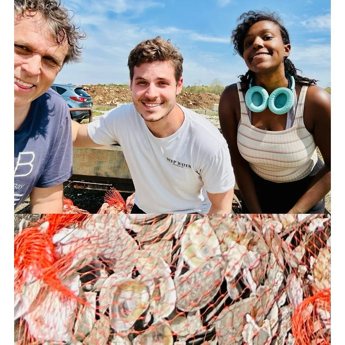 Local restaurants are currently donating oyster shells to @seatuckenvironmental which are then transported to the Town of Brookhaven&rsquo;s composting site. Last week, Seatuck donated 1,220 pounds of cured, empty shells to FoBB. From this donation, 