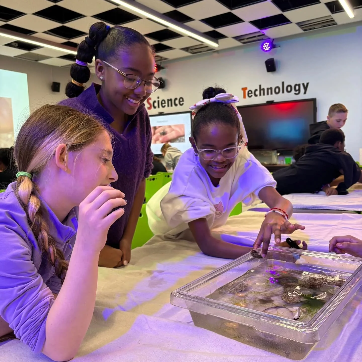 Earlier this month, FoBB educators Maria and PJ brought Bellport Bay to Longwood Middle School in Middle Island! Through a series of presentations, students learned about the vital role oysters play in the health of Long Island&rsquo;s bays and estua