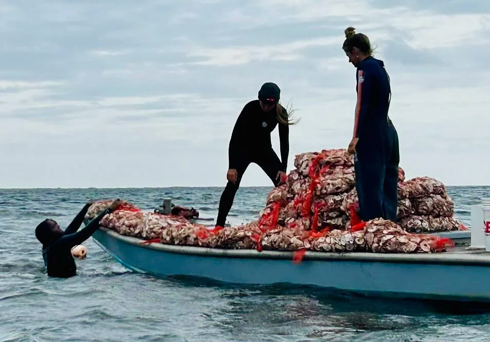 Happy Earth Day 2025! 🌎

We are grateful for your continued support in restoring Bellport Bay &amp; the Great South Bay! 🌊

Every small action counts - whether it&rsquo;s reducing waste, conserving water, or planting shellfish. 🦪

Together, we can