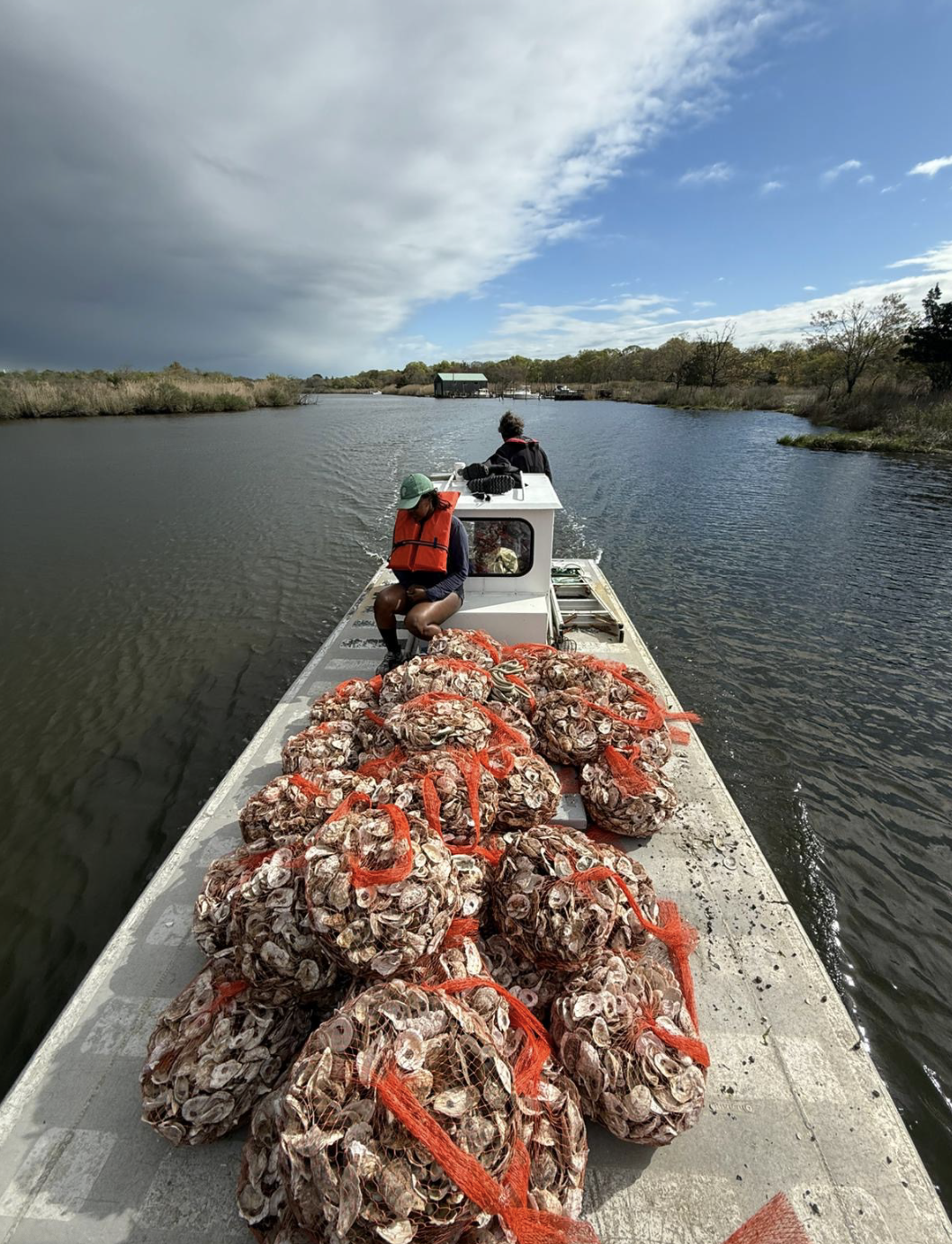 Screenshot 2026-02-21 at 10.44.28 PM.png