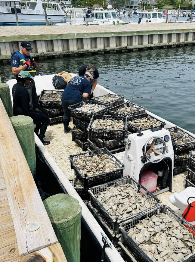 Screenshot 2026-02-21 at 10.47.31 PM.png