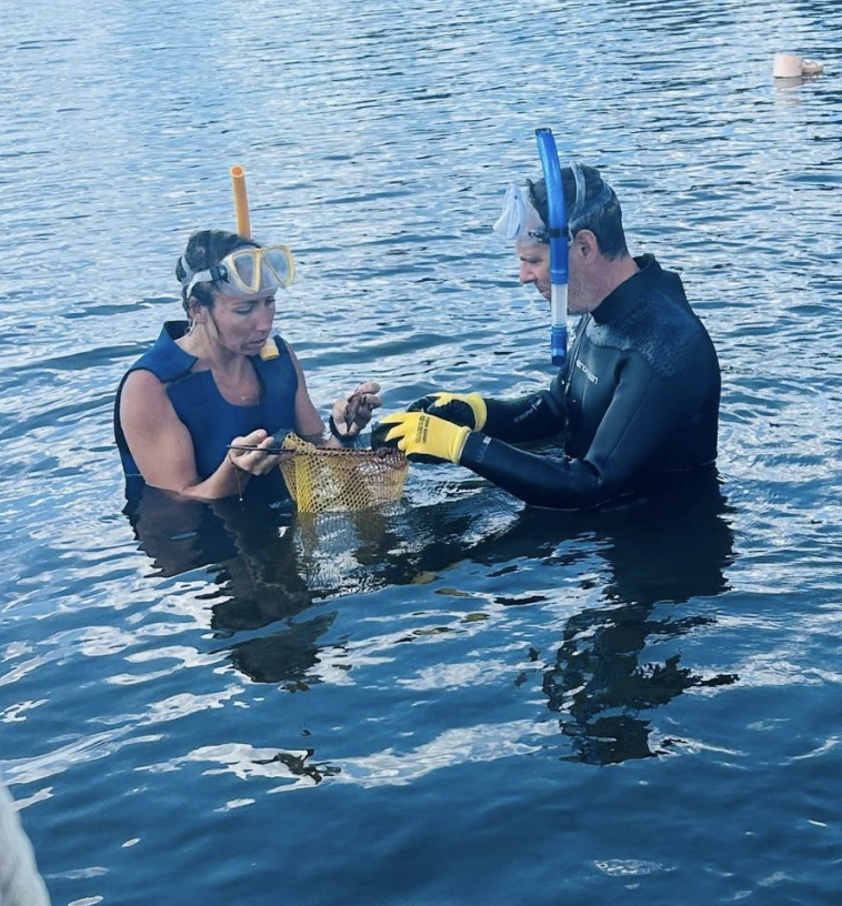 Screenshot 2026-02-21 at 10.50.35 PM.png