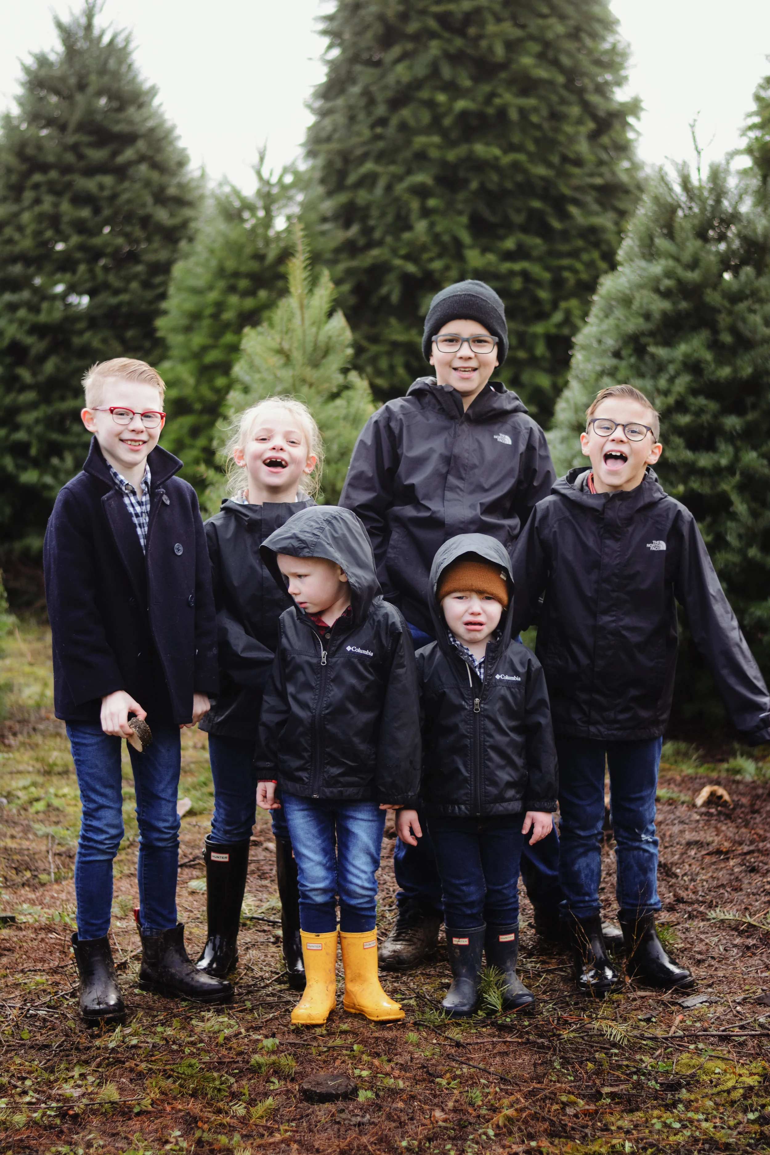 christmastree12.jpg