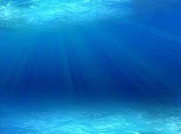 Under The Sea background.jpg
