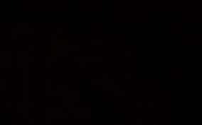 Black background.jpg