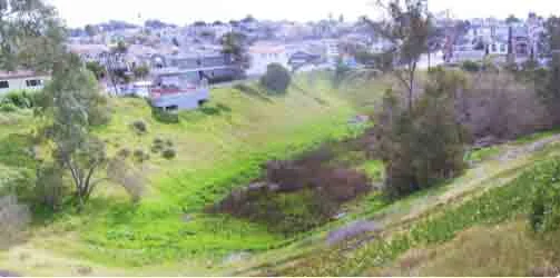 Current View of the Wylie Sump Stormwater Basin.