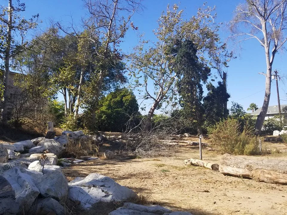 2017 Upper Pond, H.Wilderness Park