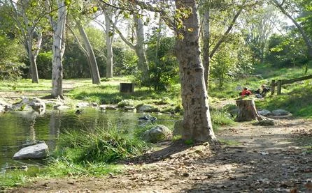 2014 Upper Pond, H.Wilderness Park