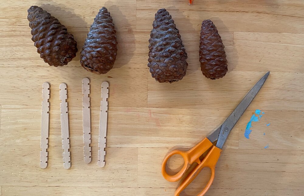 pine+cones.jpg
