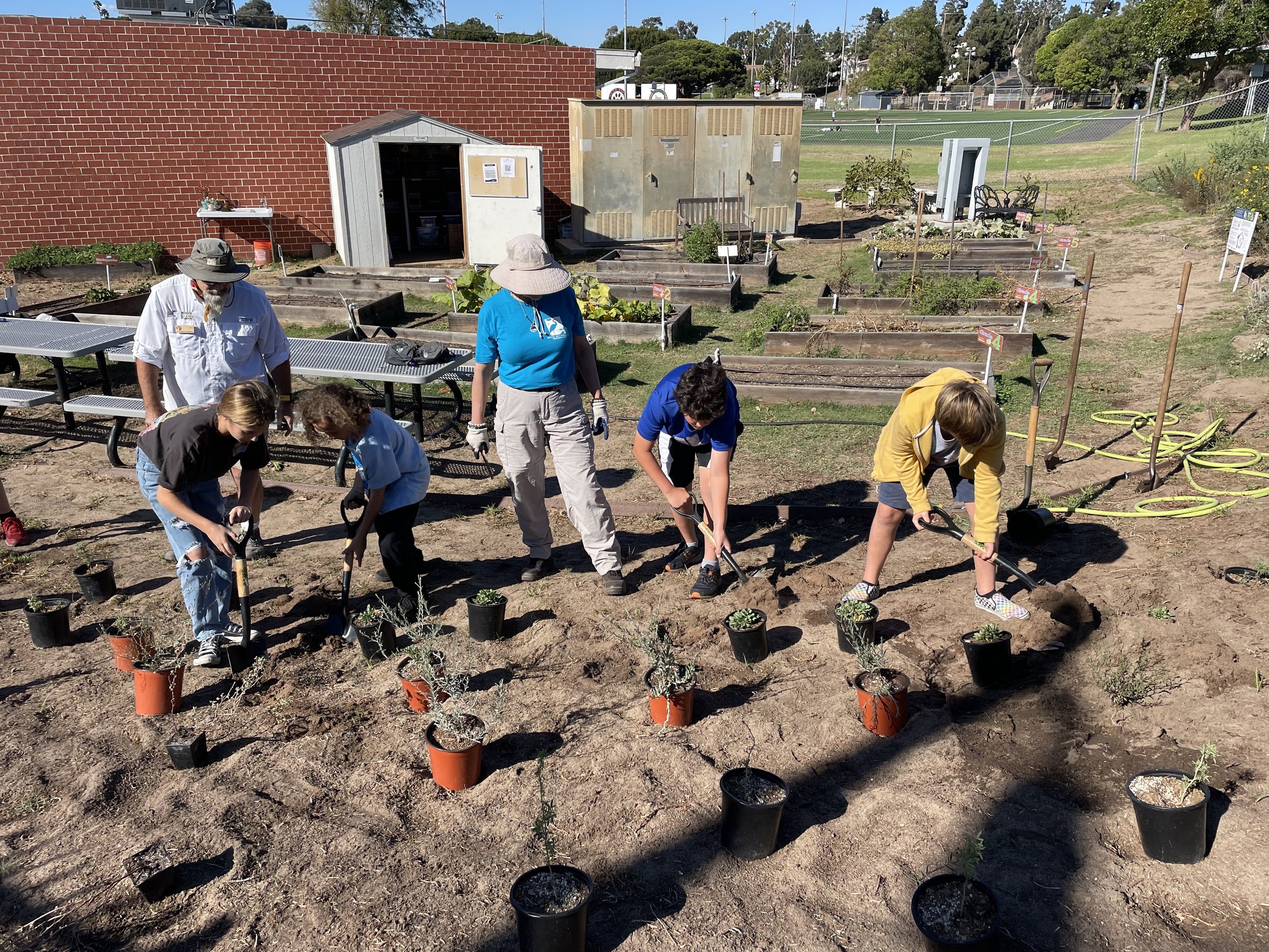 AV Butterfly garden Teran - digging.jpg