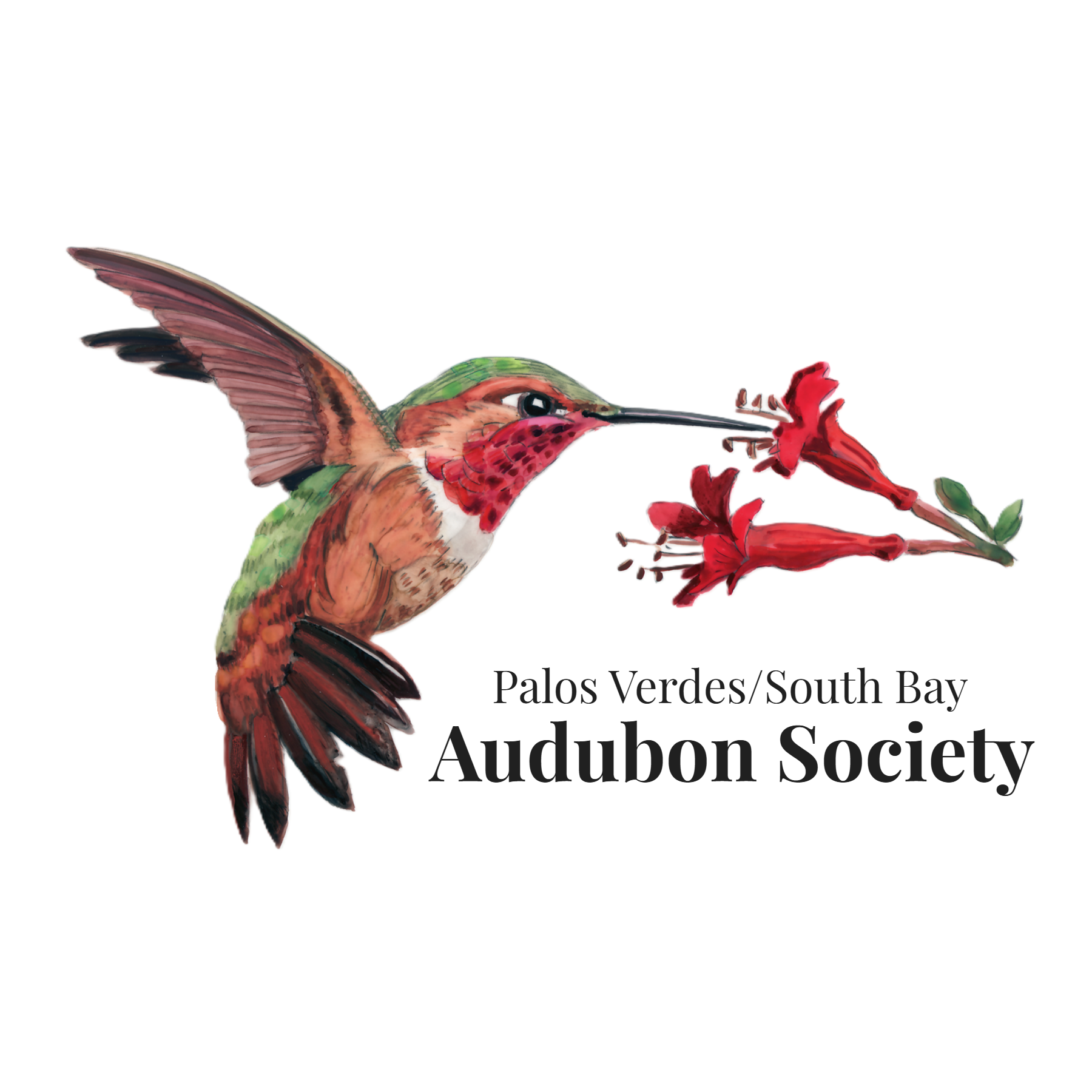 Audubon.png
