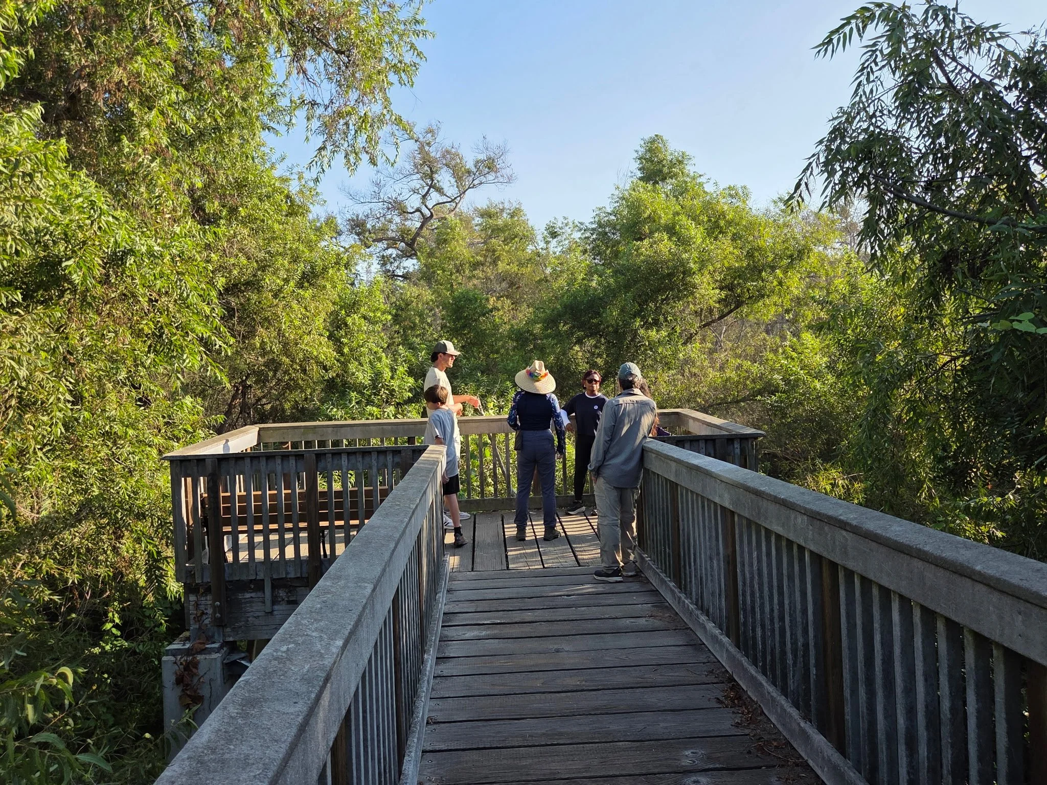 bridge and people.jpg