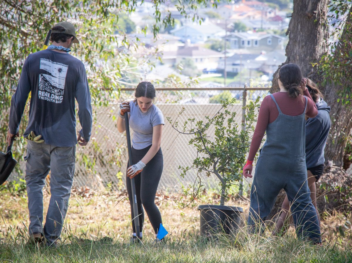 earth day 2026 volunteers plant trees (1).jpg