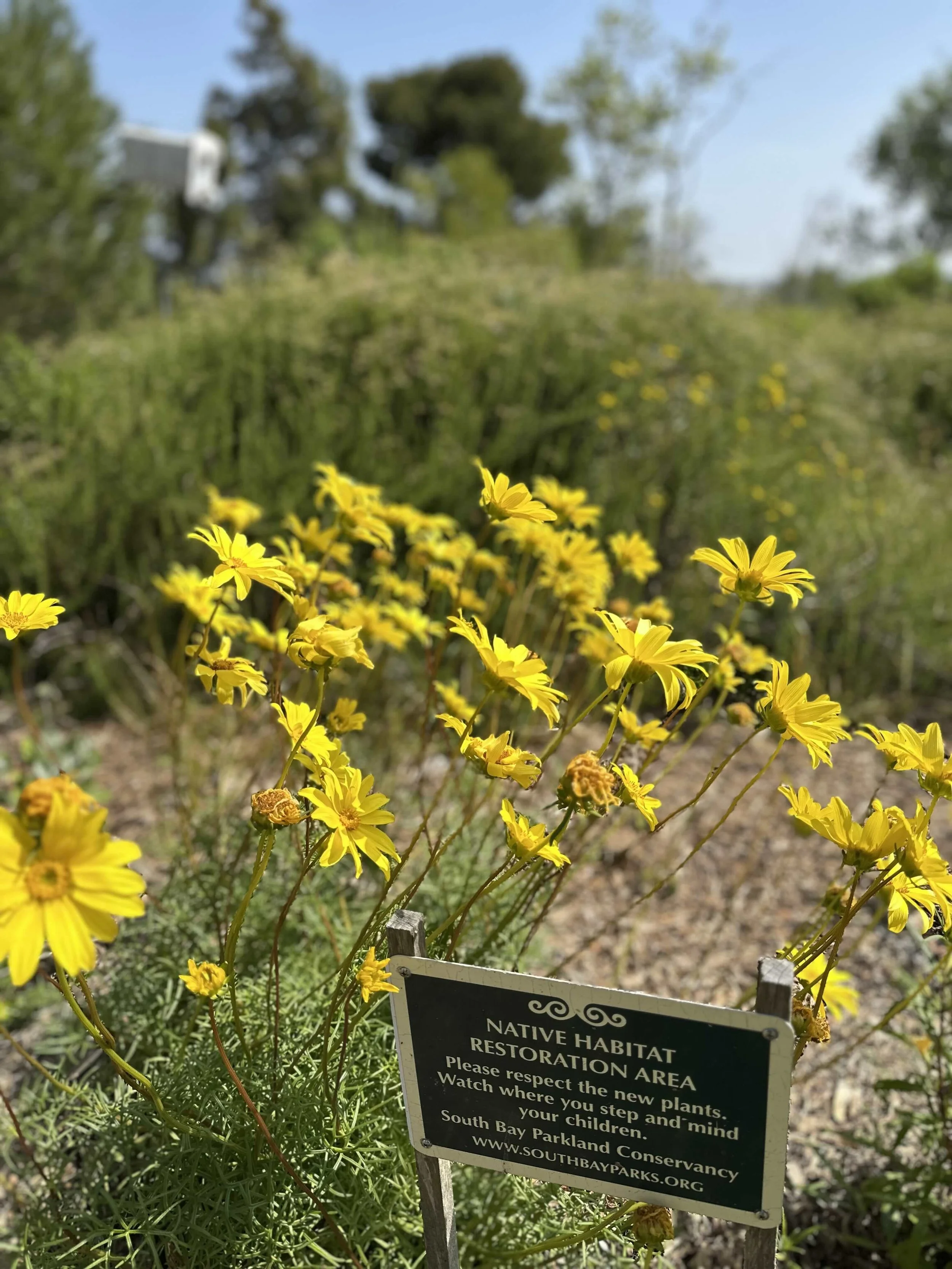 earth day HWP.jpg