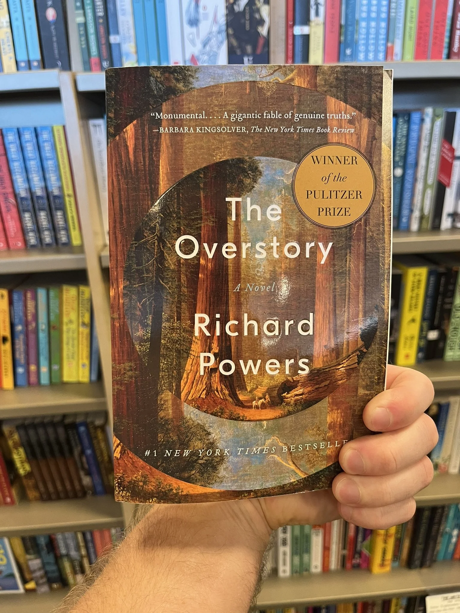 TheOverstory.JPEG