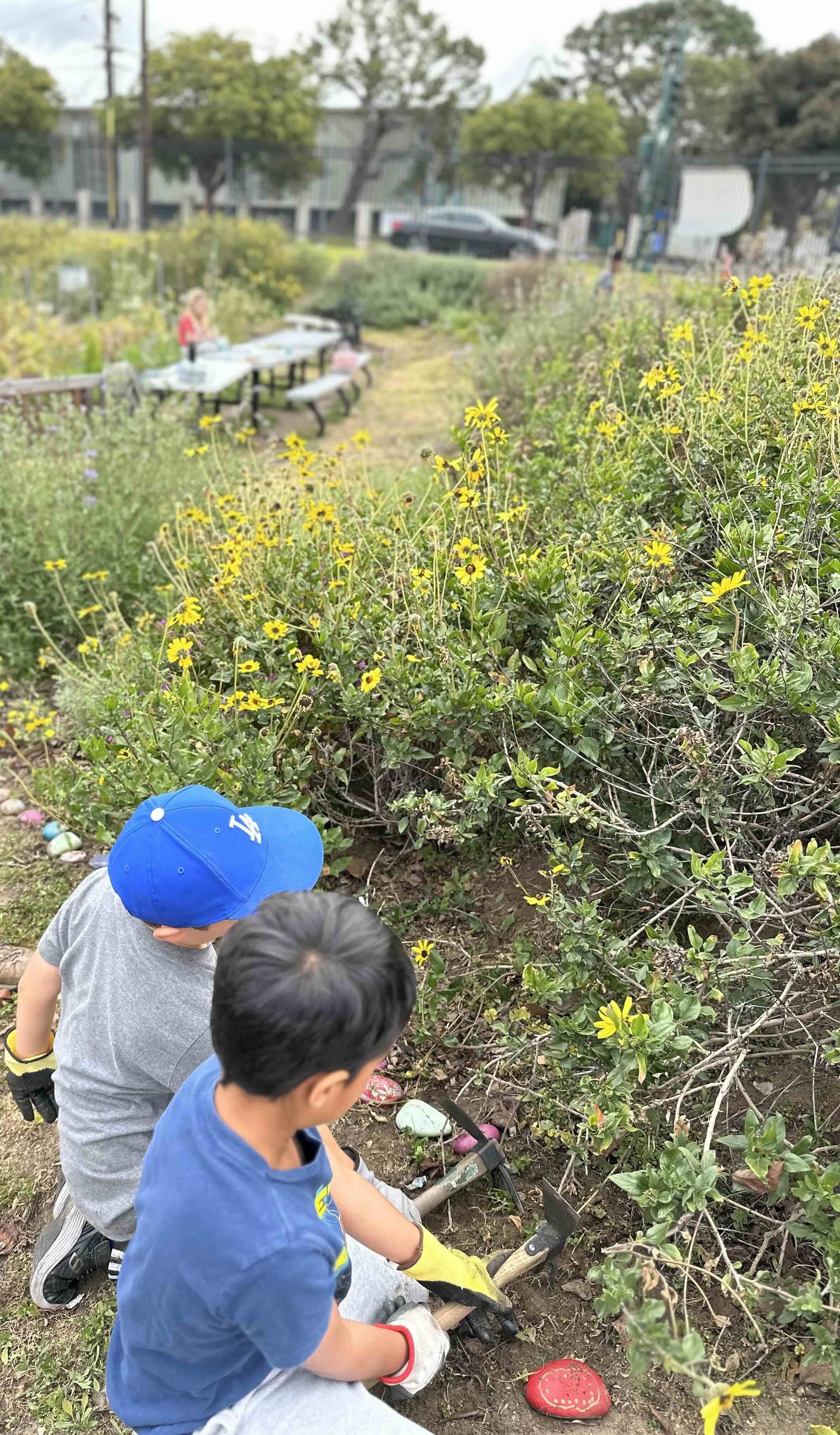 Alta Vista rock straightening.jpg