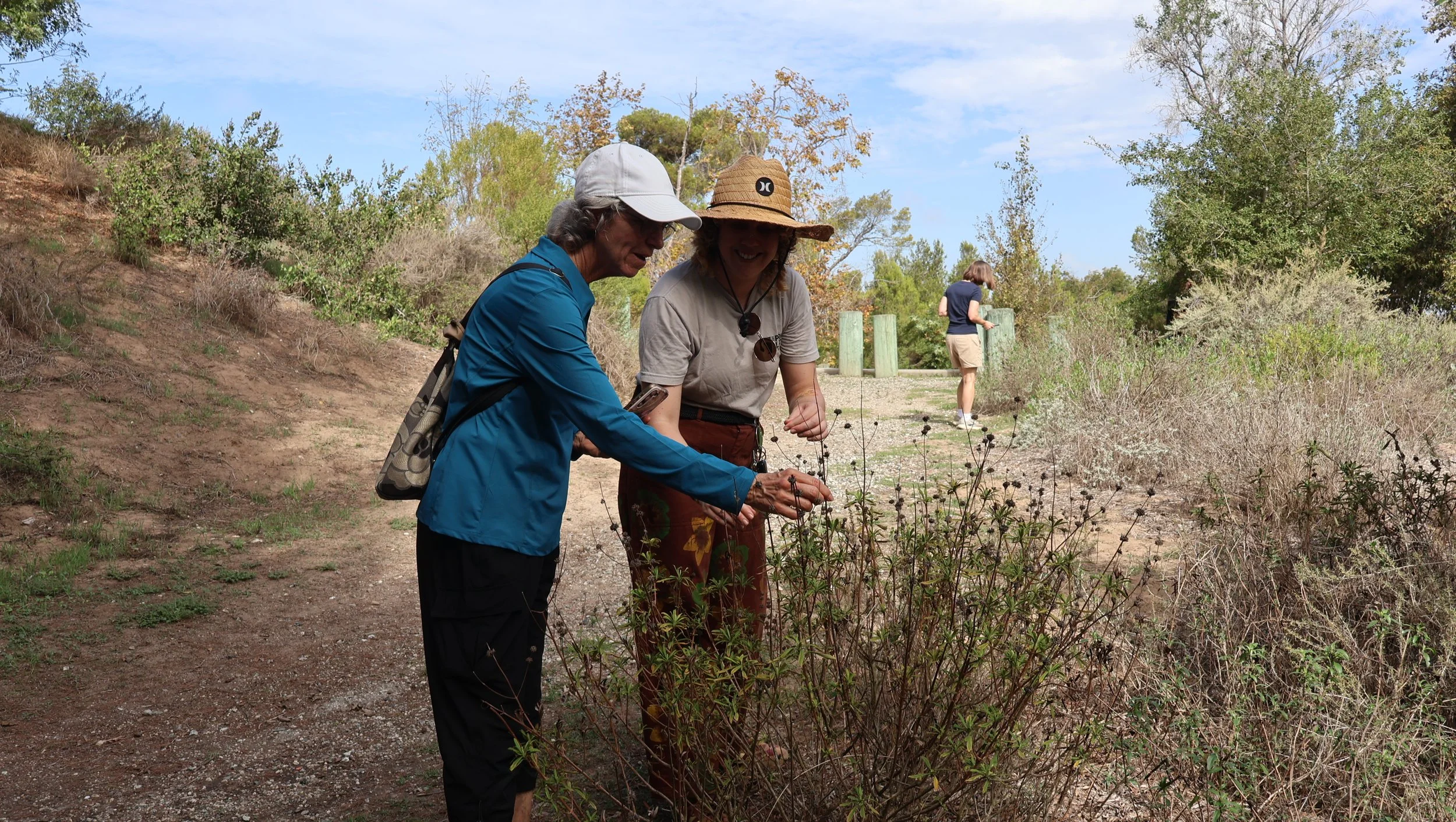 BioBlitz - Kylie shows participant plant.JPG