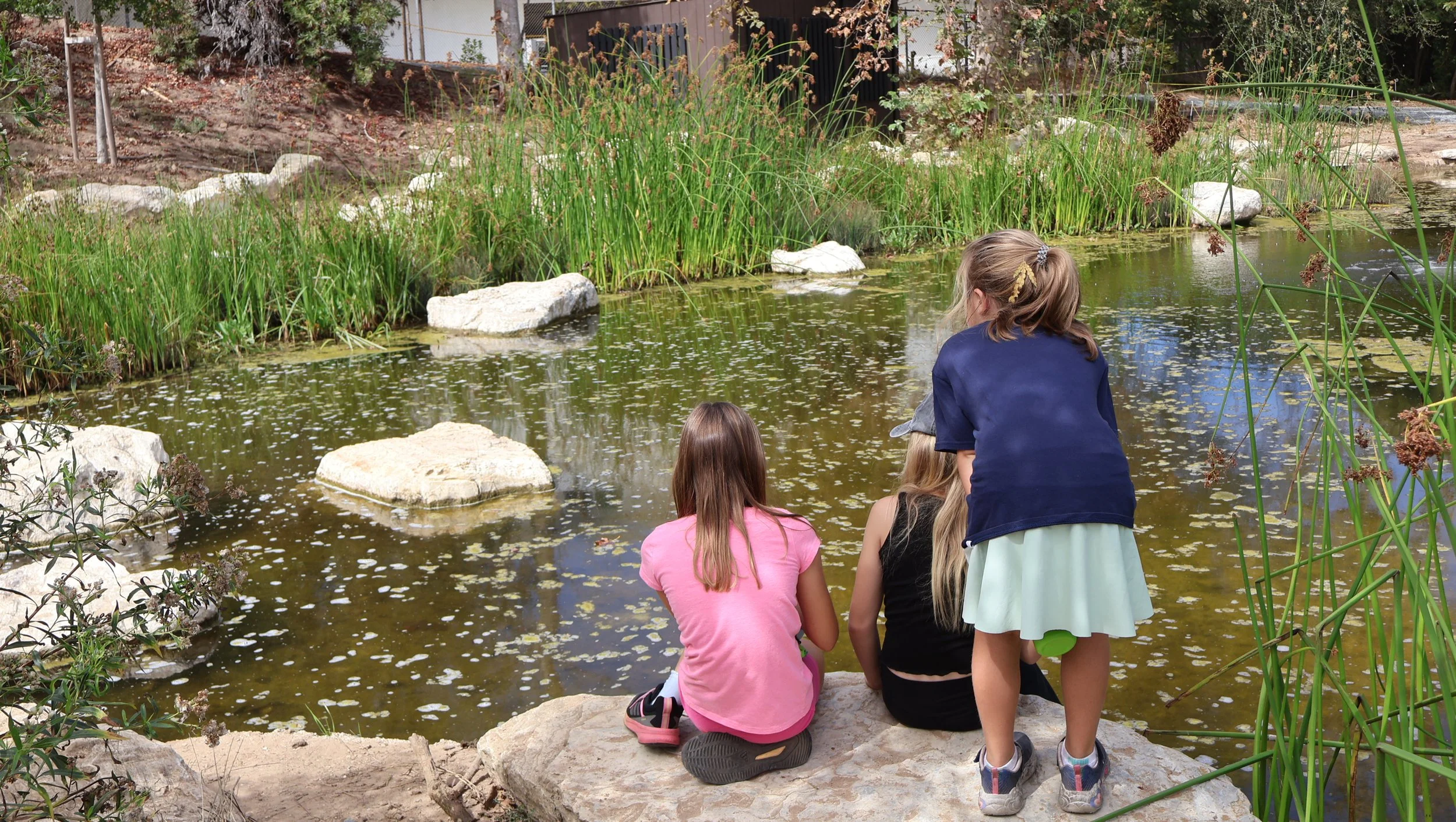 BioBlitz - students spot species near the pond.JPG