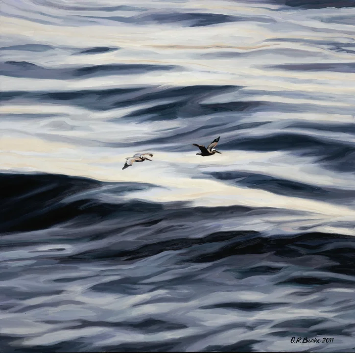 g_burke_pelicans_2.jpg