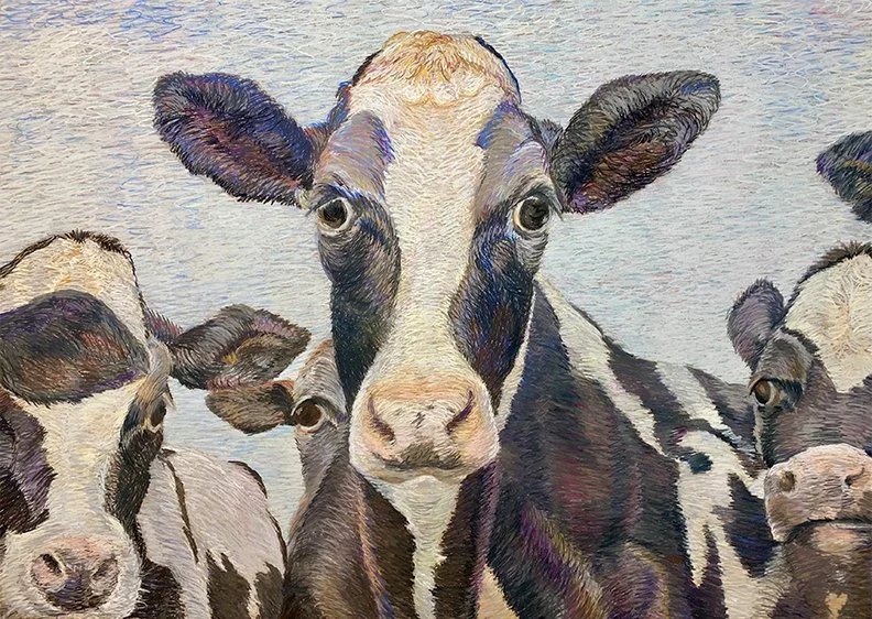 Six Cows