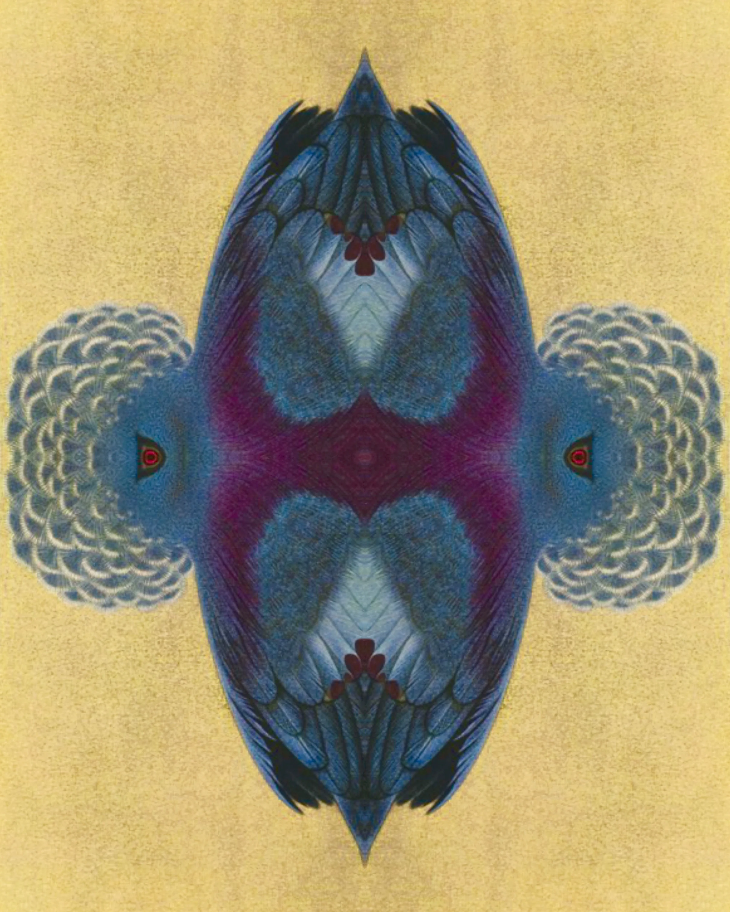 1 The Trance of a Deepening Attraction .jpg