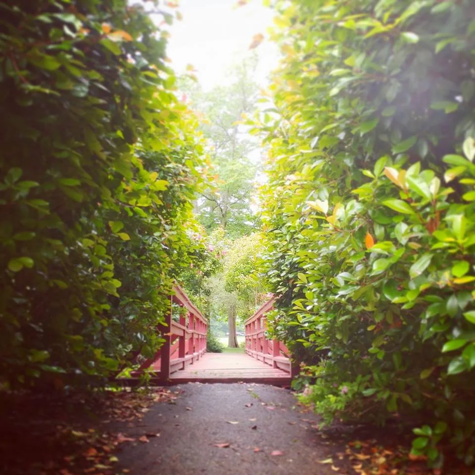 Knight Park.jpg