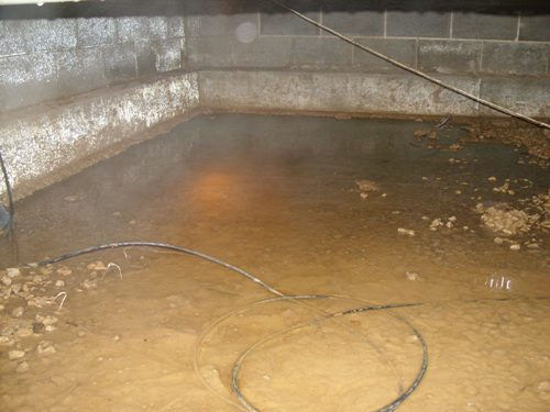 wet spaces Wet and damp crawl spaces.